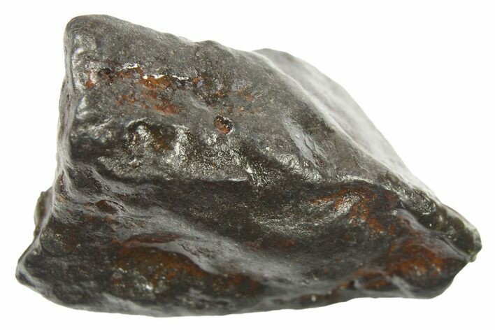 Canyon Diablo Iron Meteorite ( g) - Arizona #265768